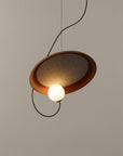 Dynamic Design Pendant Light