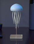 Serenity Jelly Night Lamp