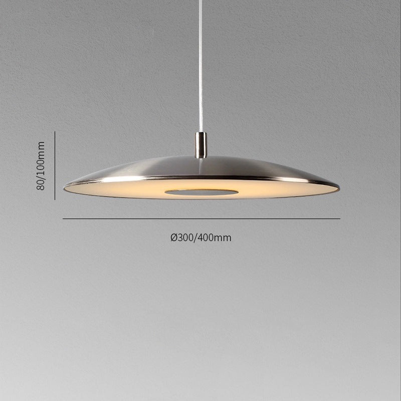 Sleek Metallic Pendant Light