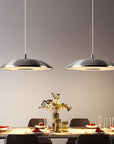 Sleek Metallic Pendant Light