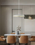 Sleek Metallic Pendant Light